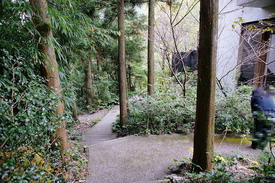 DSC00902.jpg