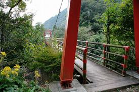 DSC00904.jpg