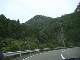 DSC02507.jpg