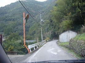DSC02535.jpg